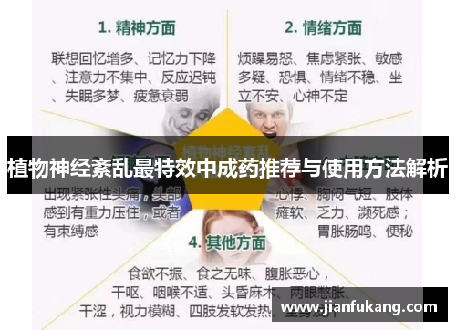 植物神经紊乱最特效中成药推荐与使用方法解析
