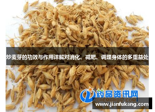 炒麦芽的功效与作用详解对消化、减肥、调理身体的多重益处